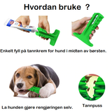 Tannbørste til hund hundetannbørste rengjør hundetenner